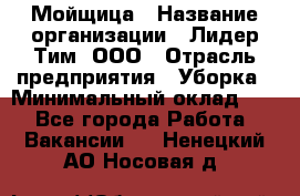 Мойщица › Название организации ­ Лидер Тим, ООО › Отрасль предприятия ­ Уборка › Минимальный оклад ­ 1 - Все города Работа » Вакансии   . Ненецкий АО,Носовая д.